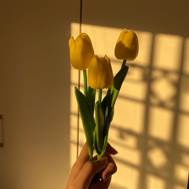 a hand holding a bouquet of yellow flowers in front of a window with the sun shining on it