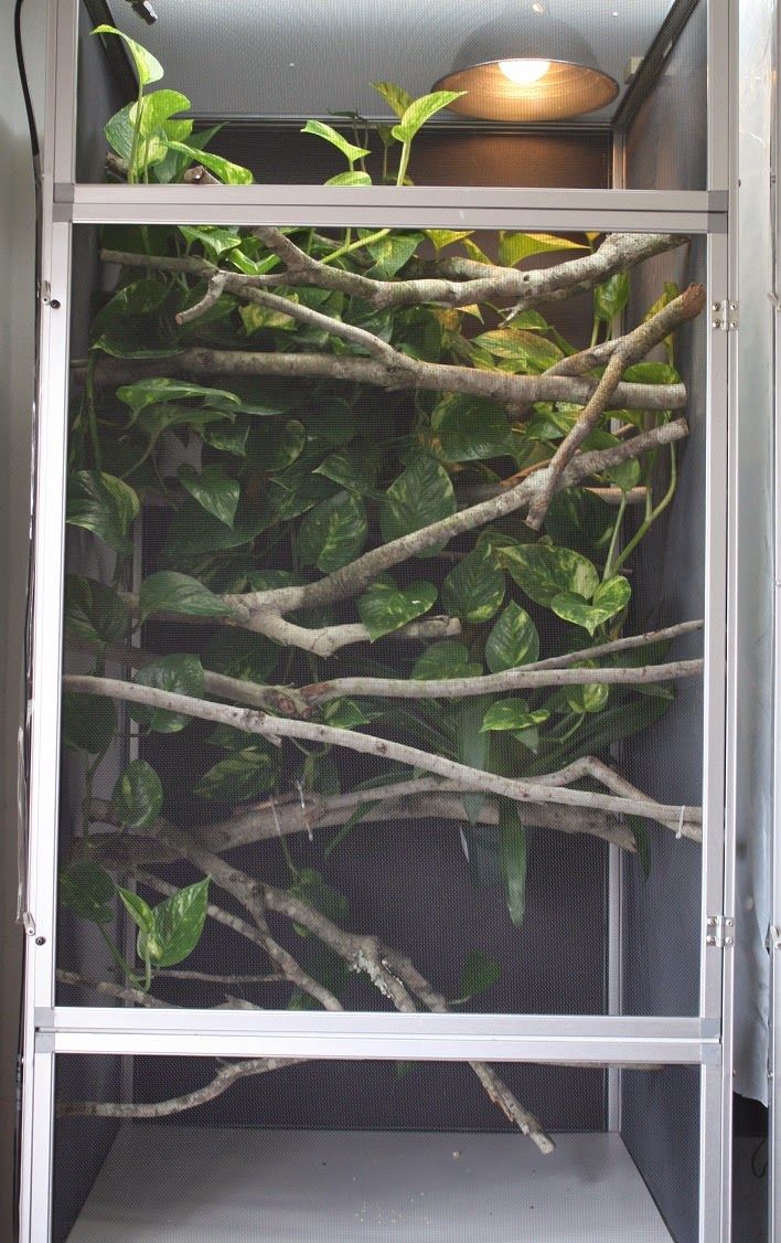 a metal shelf filled with lots of branches and green plants on top of it's sides