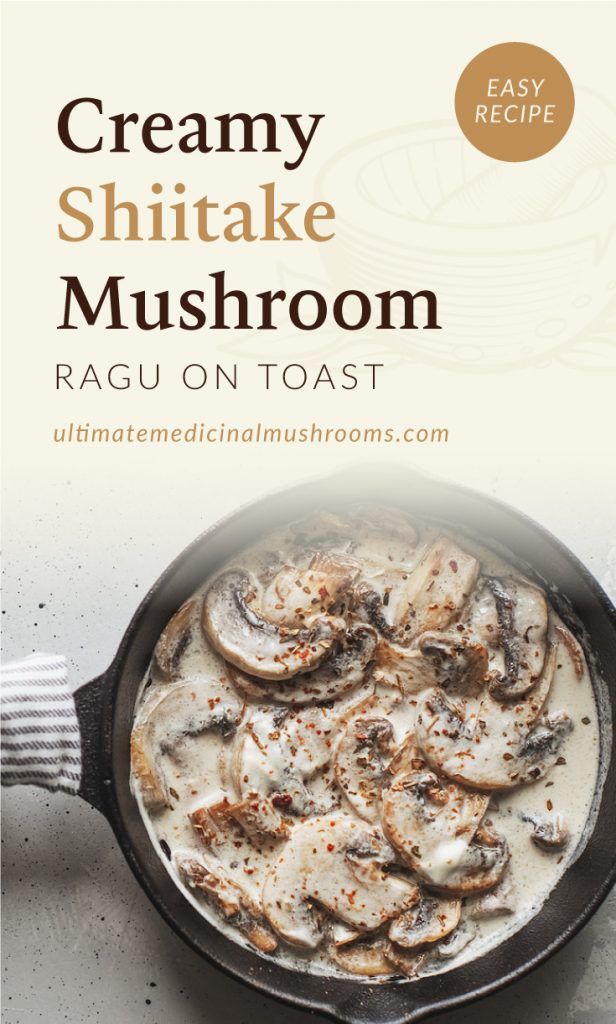 creamy shiitake mushroom recipe in a skillet