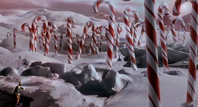 there are many candy canes in the snow