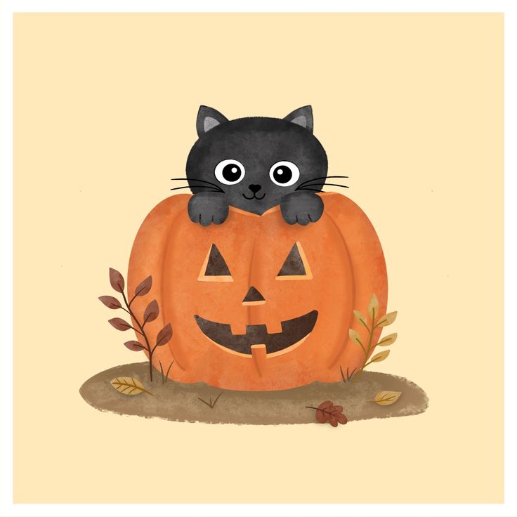 a black cat sitting on top of a pumpkin