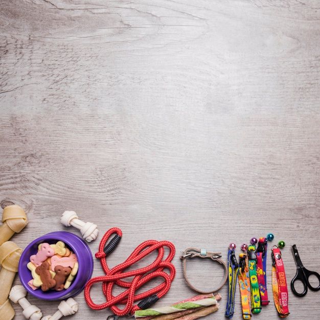 an assortment of craft supplies laid out in the shape of letters