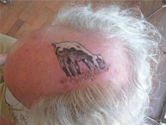 an old man with a pig tattoo on his head and the caption is in russian