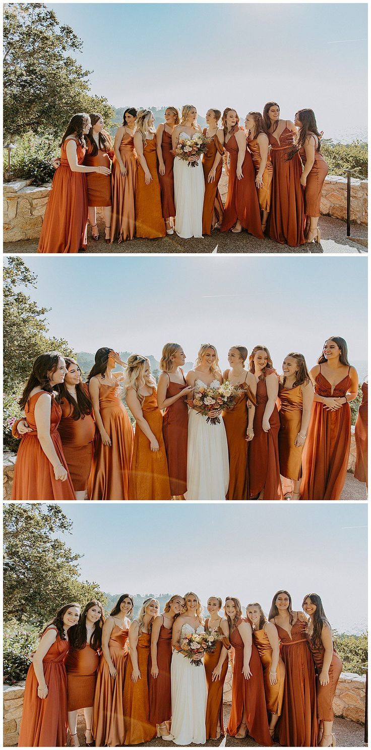 the bride and her bridal party are posing for pictures