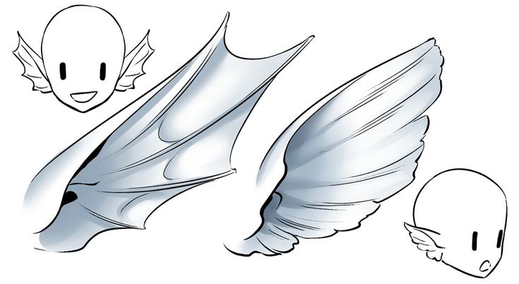 an image of different types of wings