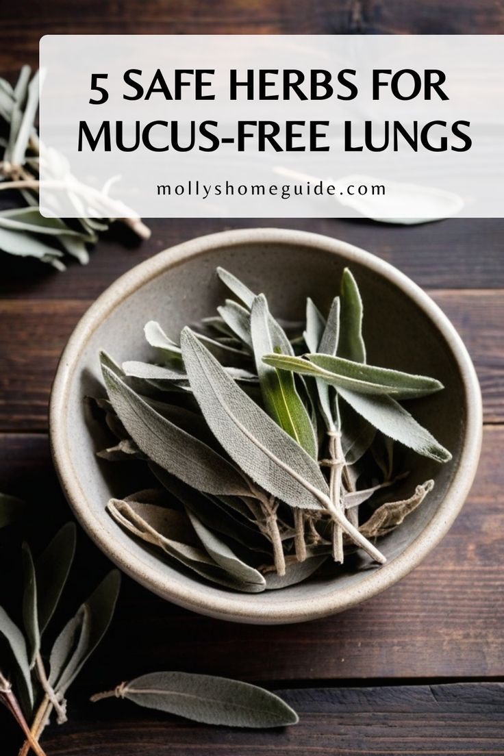 a bowl full of herbs with the words 5 safe herbs for mucus - free lungs