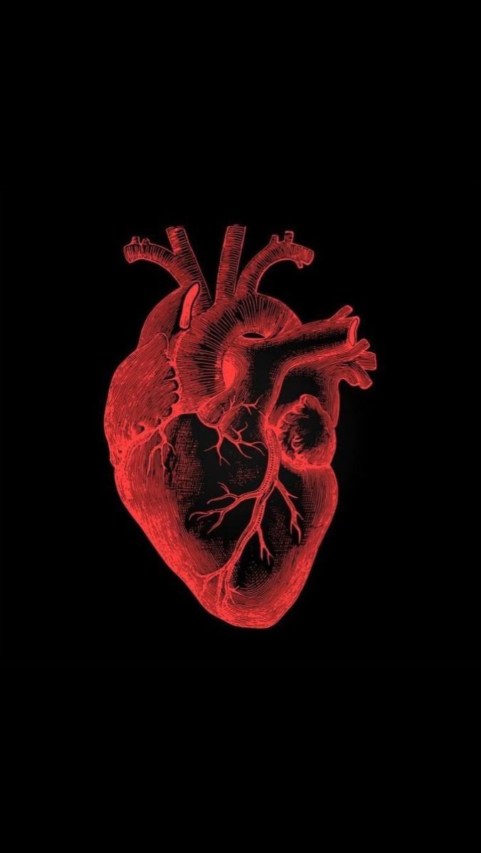 an image of a heart in the dark