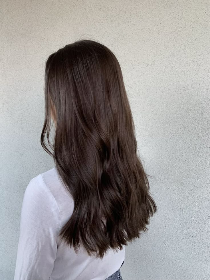 1 Color Brown Hair, Chocolate Brown Brunette Hair, Long Dark Brown Hair Cool Tone, Brown Hair Dye Over Highlights, Trendy Haircuts For Thick Long Hair, Chocolate Brown Summer Hair, Hair Appointment Ideas, Prettiest Brown Hair Color, Soft Medium Brown Hair