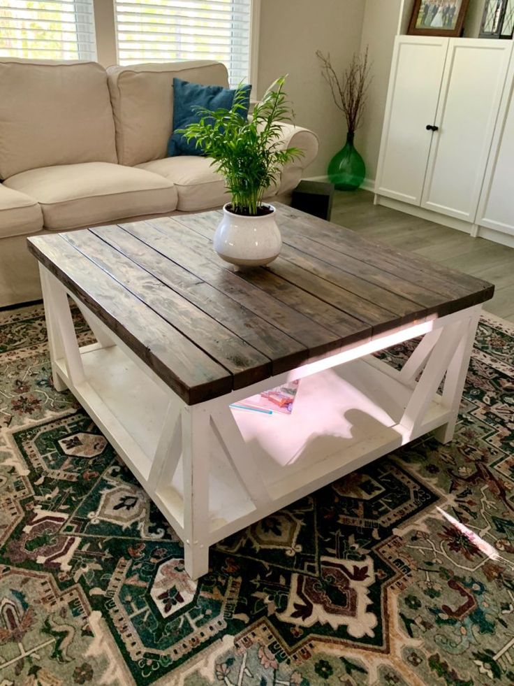 a living room with a couch, coffee table and potted plant on the rug