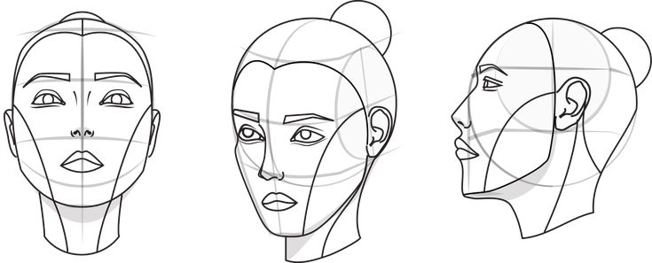 three different angles of the face for each woman's head, with lines drawn on them