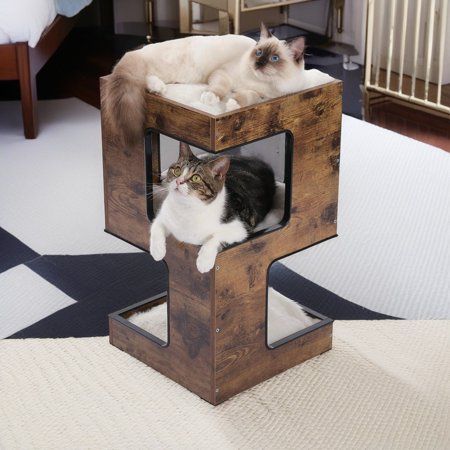 two cats sitting on top of a wooden structure