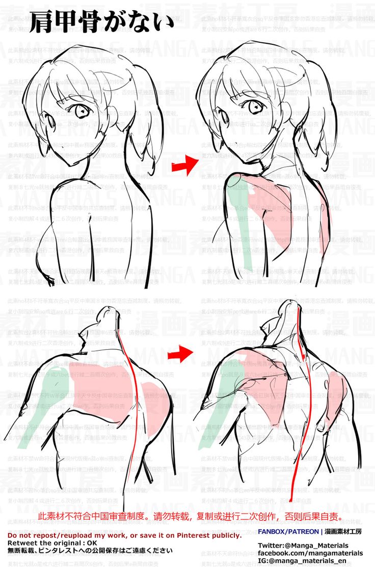 how to draw the neck and shoulder muscles in anime style, step by step instructions