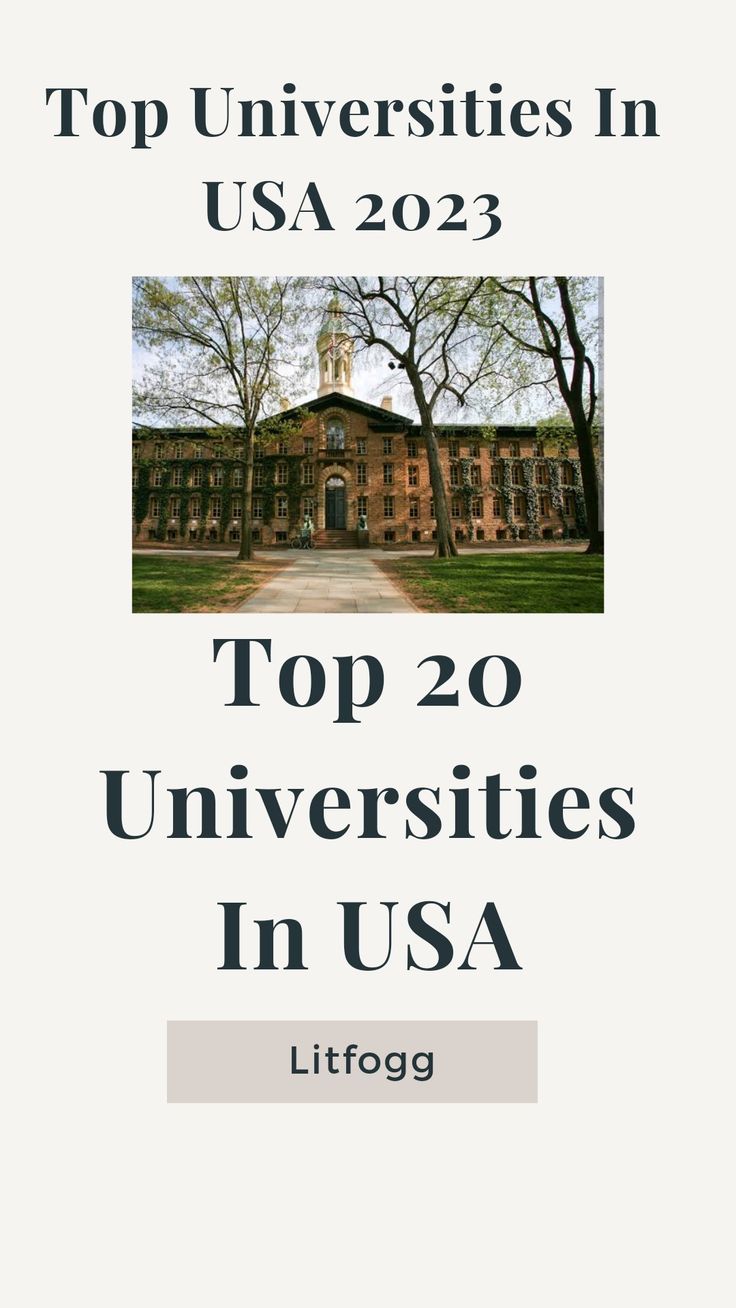 the top 20 university in usa