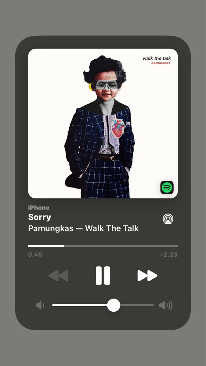 an mp3 player with the caption sorry pannurkas - walk the talk