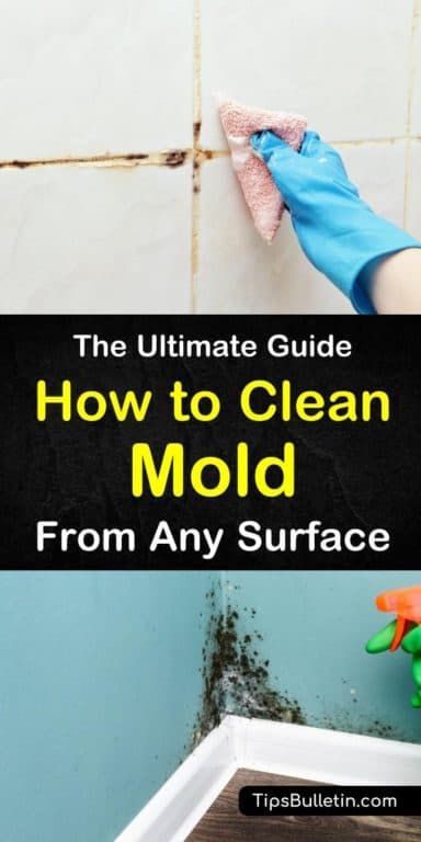 the ultimate guide to how to clean mold from any surface