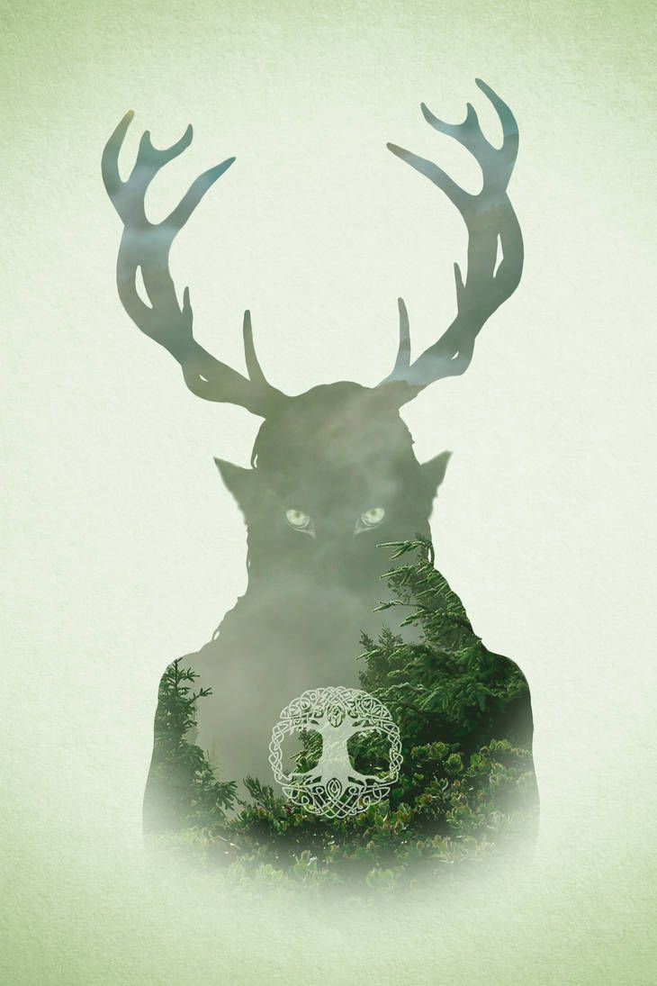 a deer with antlers on its head is surrounded by trees and fog in the background