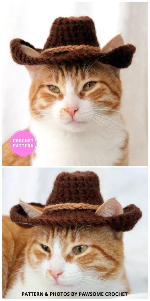 two pictures of a cat wearing a cowboy's hat with the caption, pattern & photos by pawsome crochet