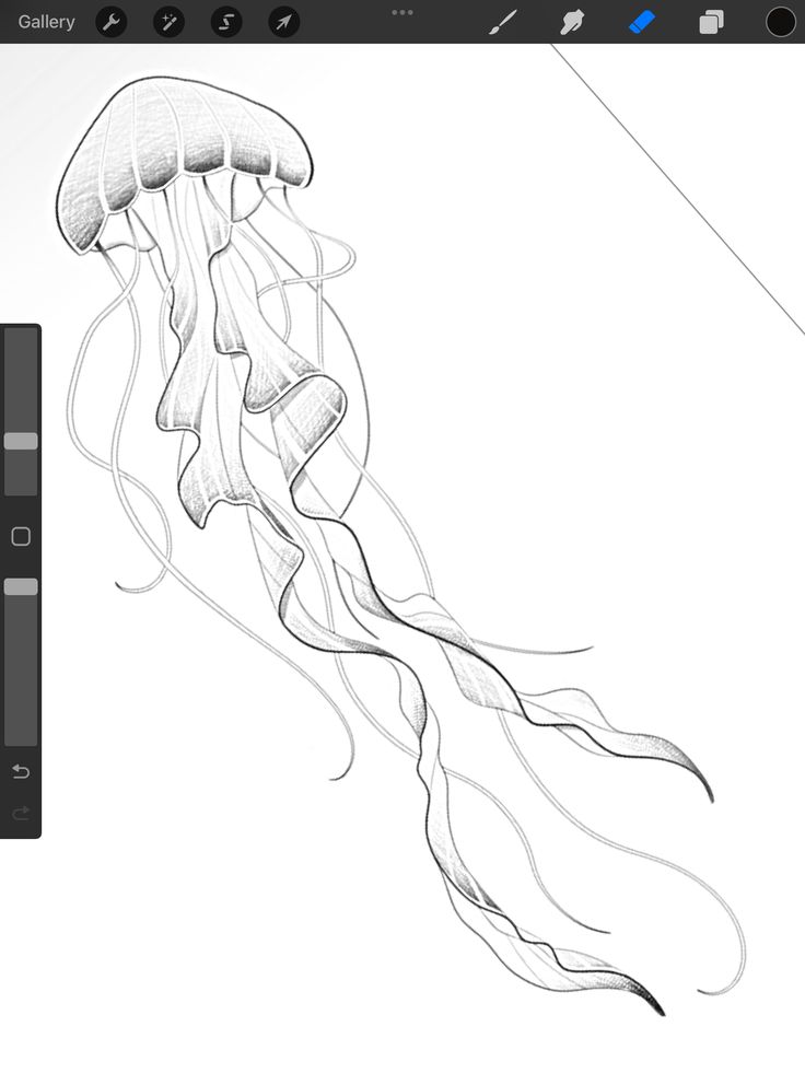 a drawing of a jellyfish on a computer screen