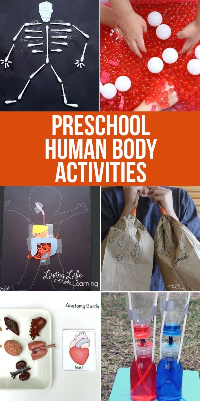 different activities to teach children about the human body and how they are doing things with them