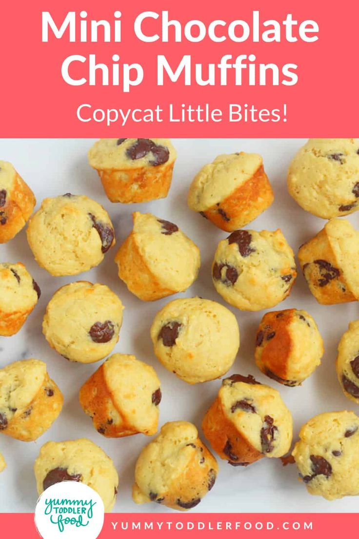 mini chocolate chip muffins with text overlay