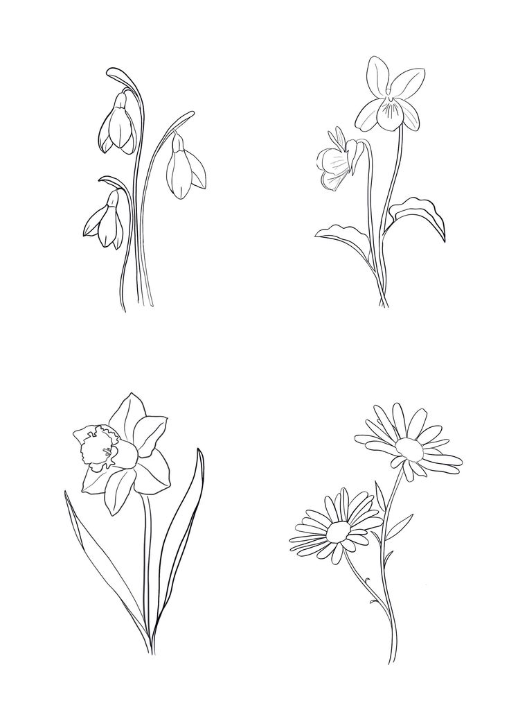 four different types of flowers on a white background