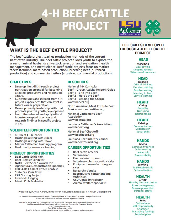 the 4 - h goat project flyer