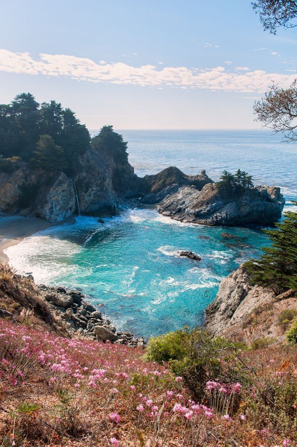 an ocean view with rocks and flowers in the foreground, and blue water on the other side