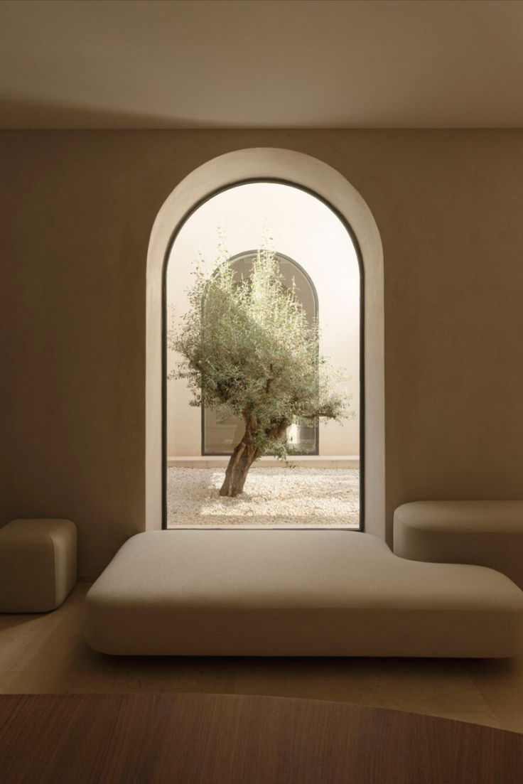 an empty room with a tree in the window and benches on the floor next to it