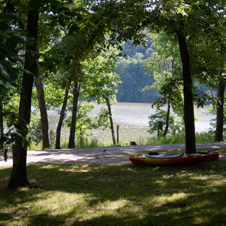 there is a canoe on the ground in the woods by the water's edge