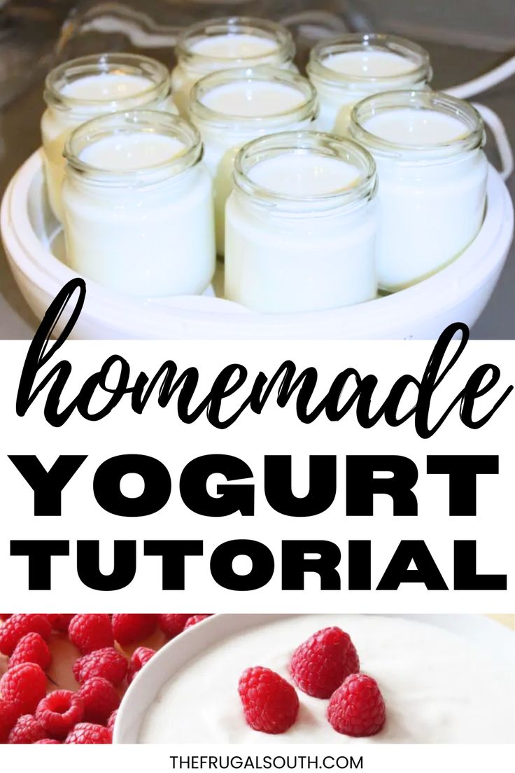 homemade yogurt recipe with raspberries on the side and text overlay