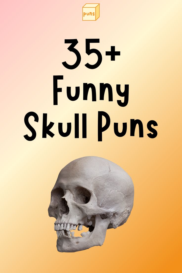 a skull with the words 35 funny skull puns on it's front cover