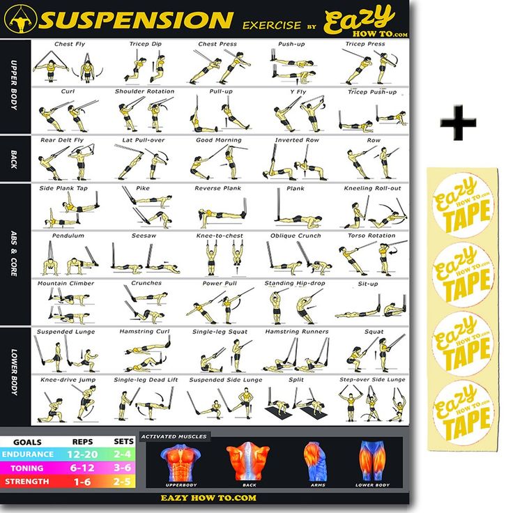 an exercise poster with instructions on how to use the suspension exercises for each type of body