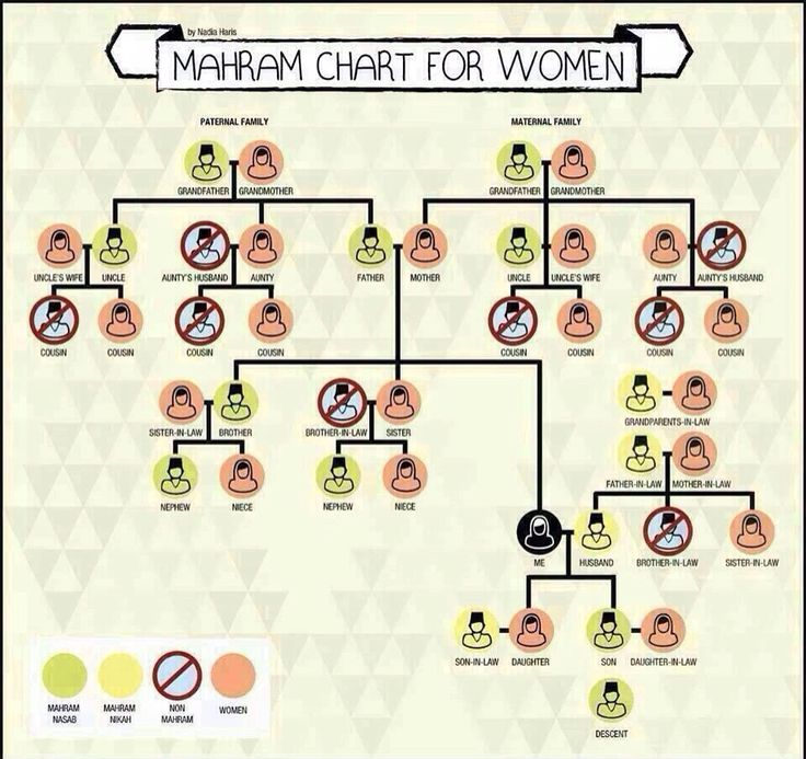 a diagram showing the different types of women