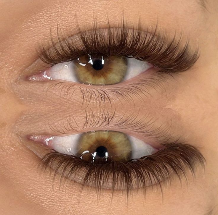 Brown Eyelash Extensions, Natural Fake Eyelashes, Lashes Fake Eyelashes, Face Beat Makeup, Lash Extensions Makeup, Lash Extensions Styles, Eyelash Extensions Styles, Perfect Eyelashes, Pretty Lashes