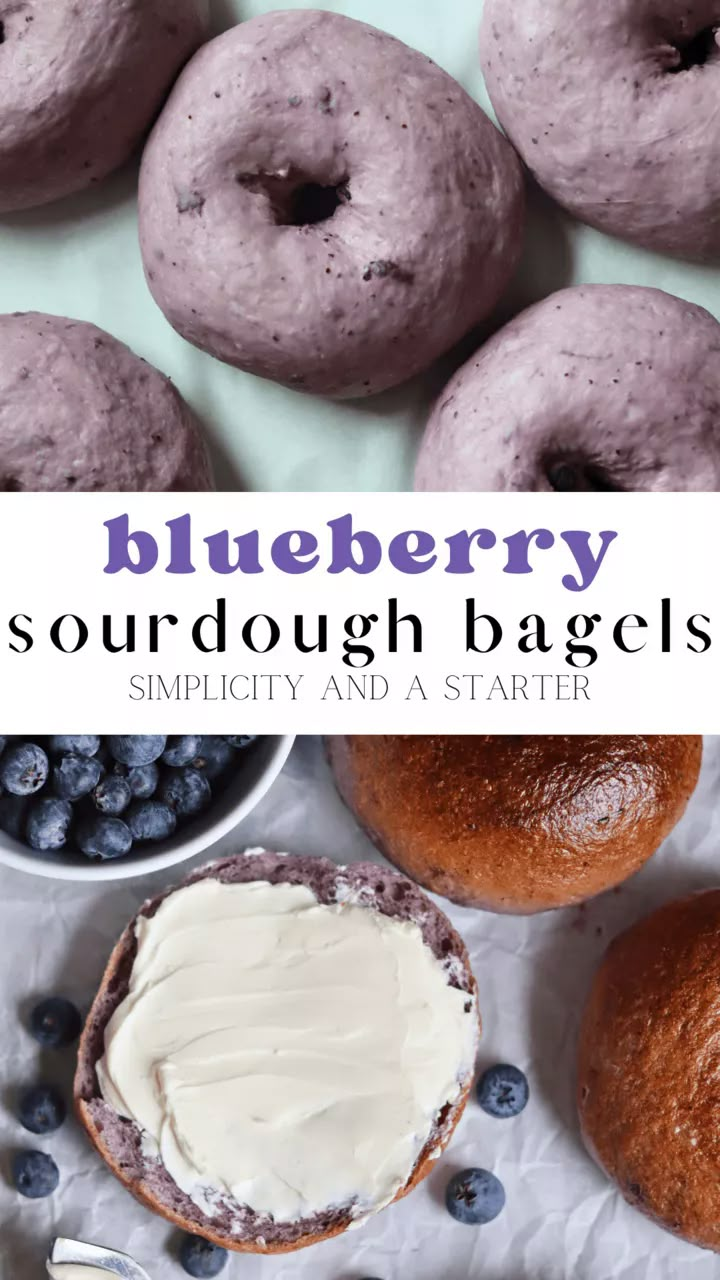 blueberry sourdough bagels with cream cheese frosting and fresh blueberries