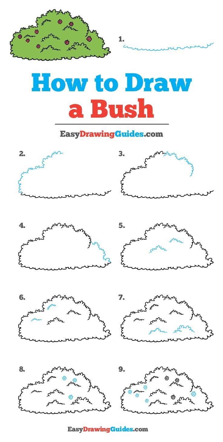 how to draw a bush for kids with easy step by step instructions and printable pictures