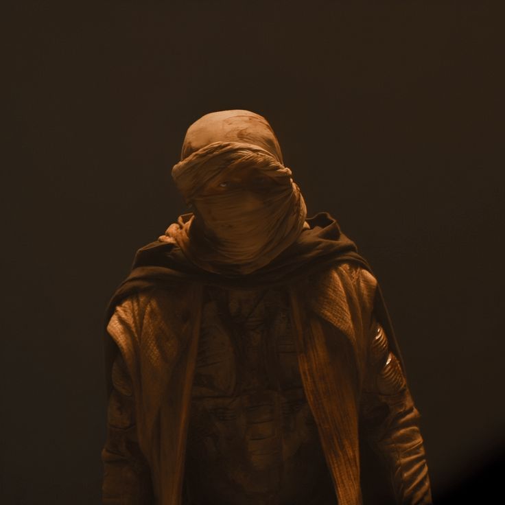 Dune 2 Pfp, Dune Widget, Arrakis Dune Aesthetic, Paul Atreides Pfp, Dune Pfp, Atreides Aesthetic, Paul Atreides Aesthetic, Paul Atreides Icon, Dune Icon