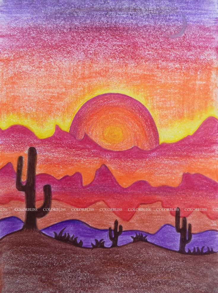 a drawing of the desert with cactus trees