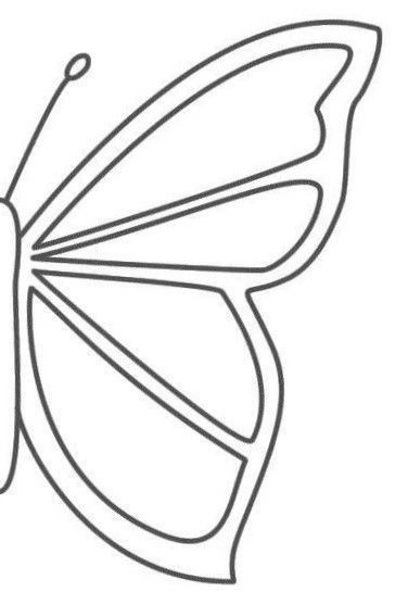 the outline of a butterfly's wings