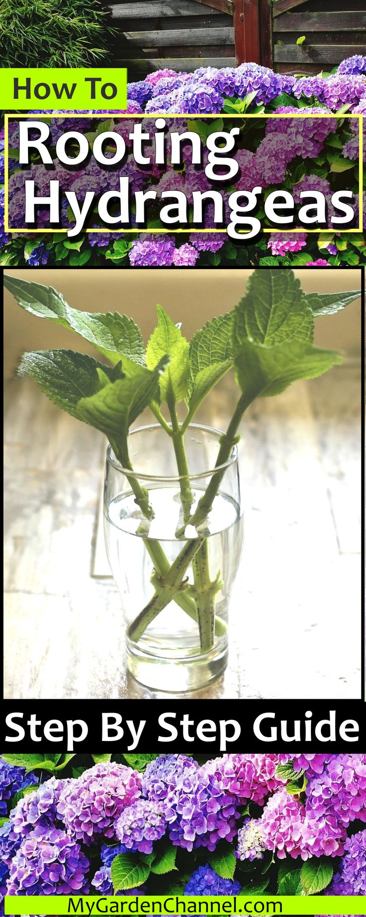 a vase filled with purple flowers sitting on top of a wooden table next to green leaves