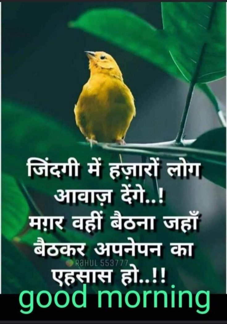 a yellow bird sitting on top of a green leaf covered branch with the words good morning in