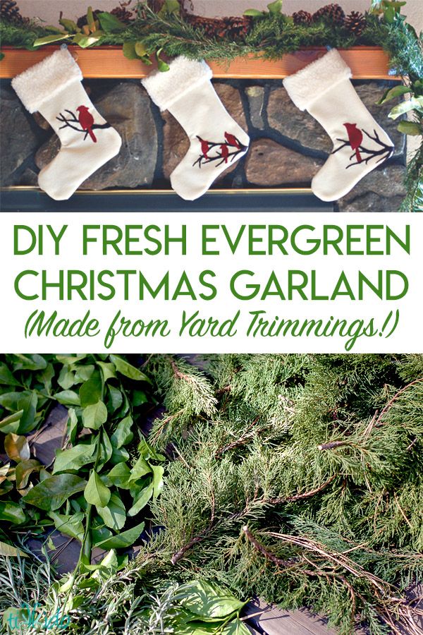 diy fresh evergreen christmas garland made from yard trimmings is easy to make