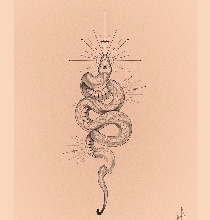 a black and white drawing of a snake