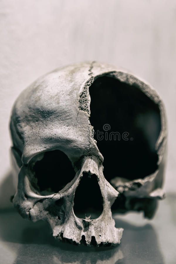 a human skull is shown in black and white stock photo - 959872