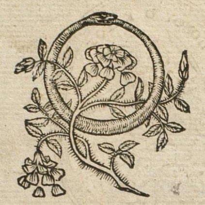 a drawing of flowers in a circle with leaves and vines around it on an old book page