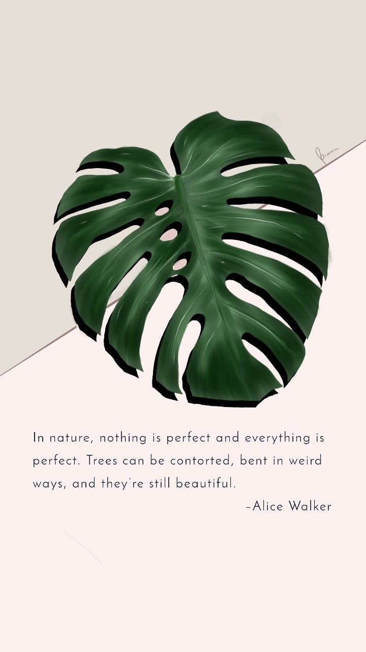 a large green leaf on top of a white and gray background with a quote from alice walker