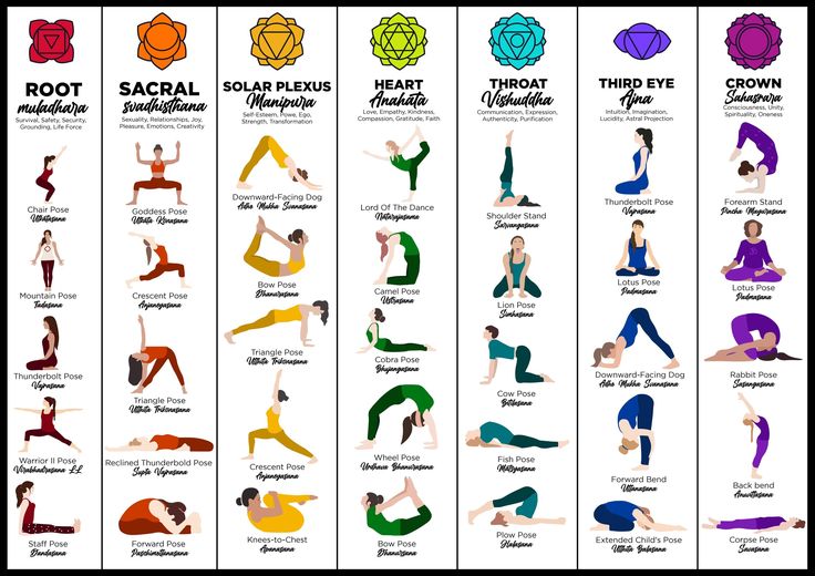 a poster showing different yoga poses and their corresponding names