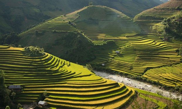 an aerial view of rice terraces in the mountains, with a river running between them