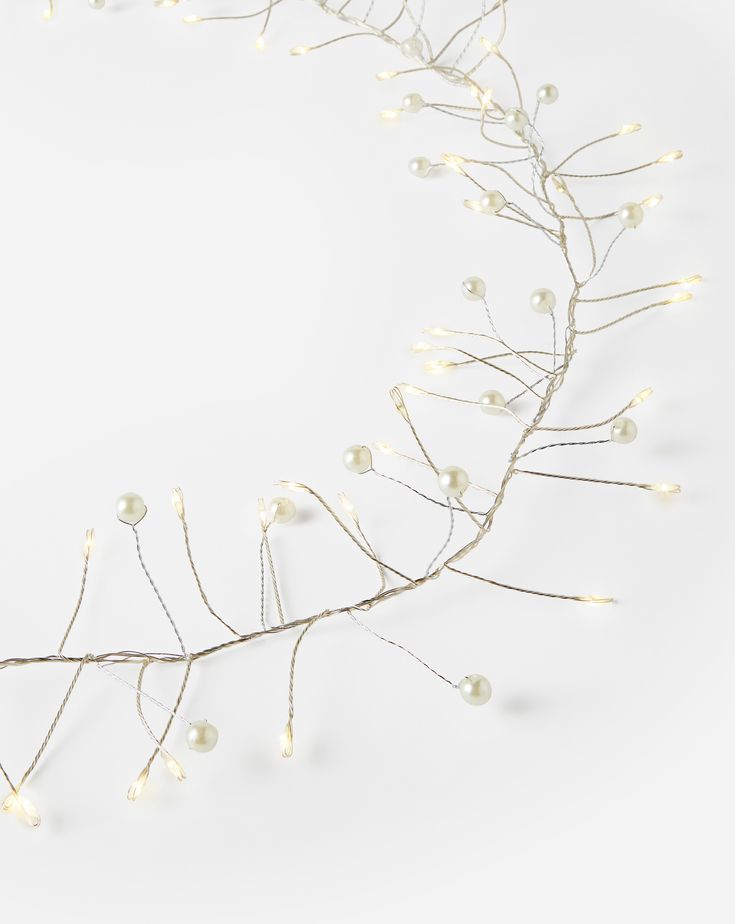 a branch with white lights on it