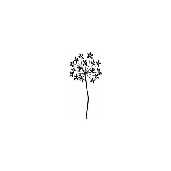 a black and white drawing of a dandelion flower on a white background,